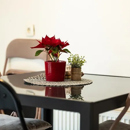 Appartement Great For Couples Or Small Families Ljubljana